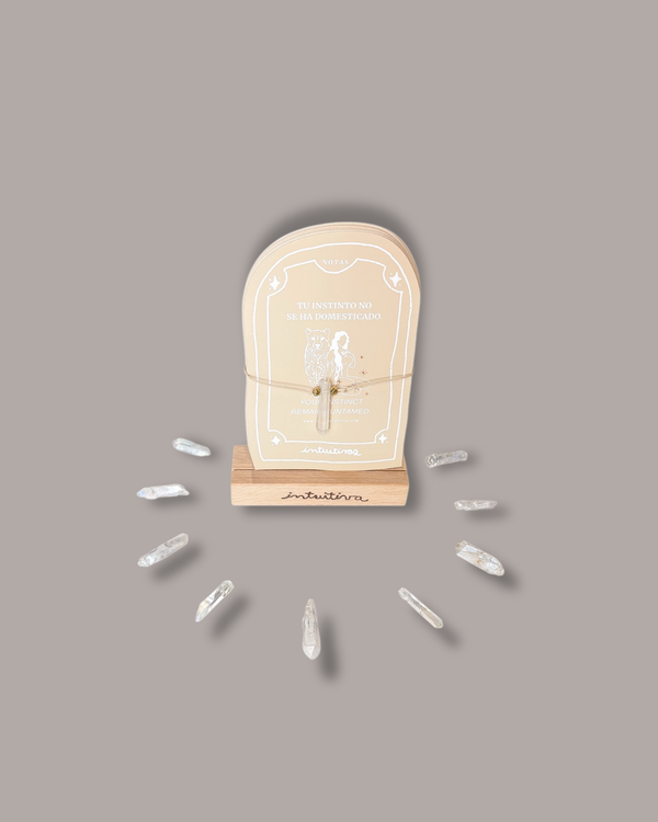 Limited Edition Intuitive Bundle