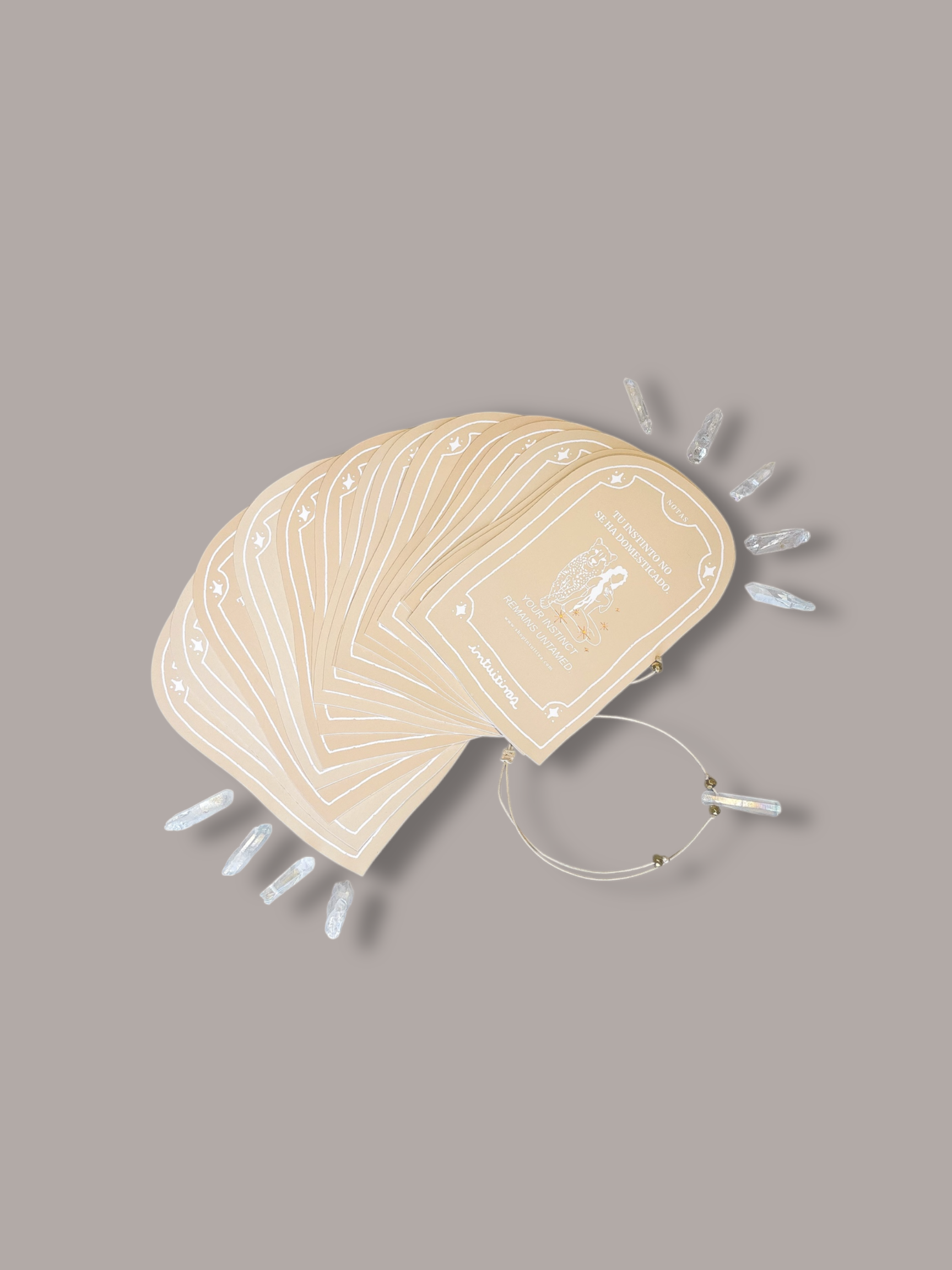 Limited Edition Intuitive Bundle